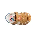 Proyecto nuevo (24).webp