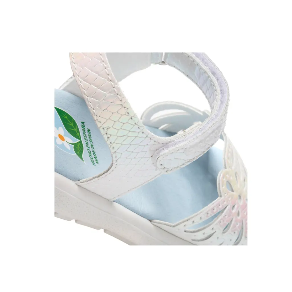 Proyecto nuevo (61).webp