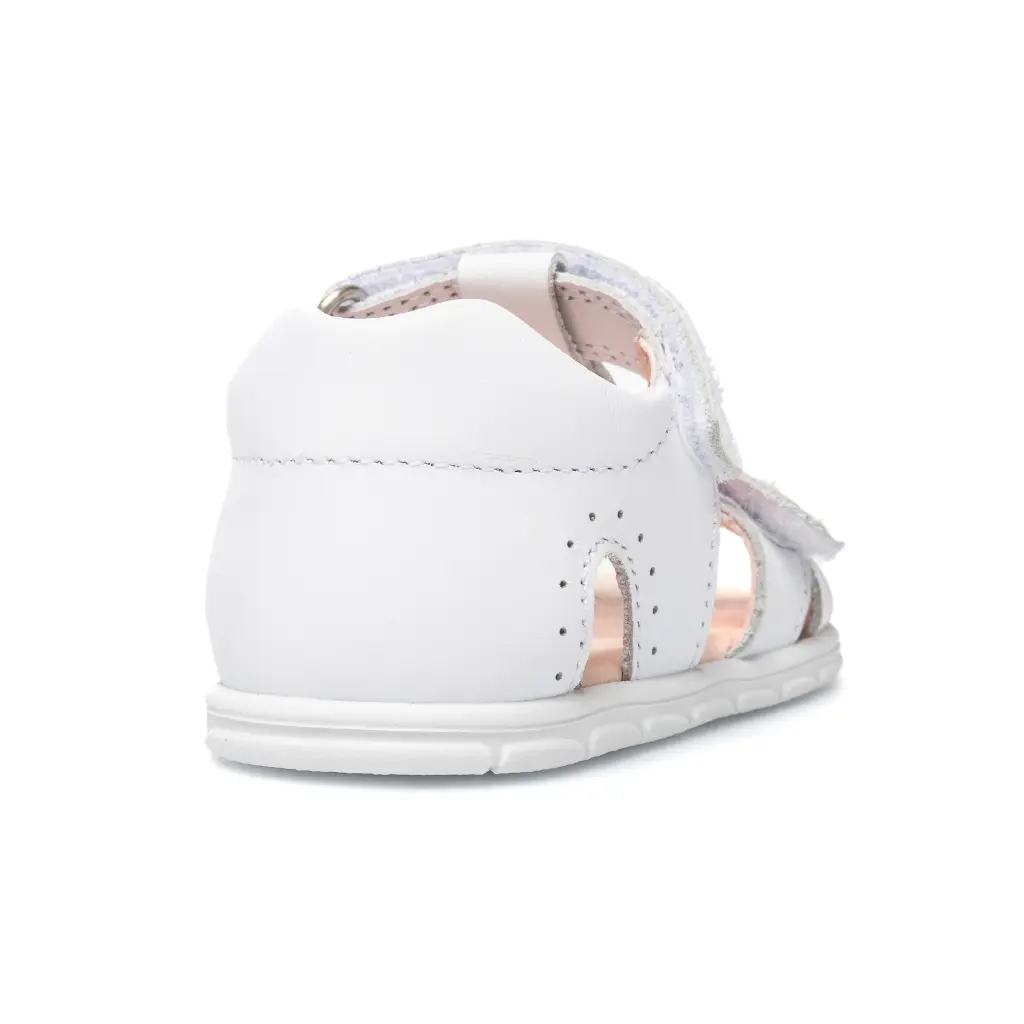 Proyecto nuevo (9).webp